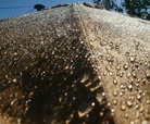 SUN & Rain