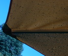 SUN & Rain