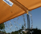 SUN & Rain